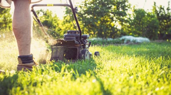 mowing